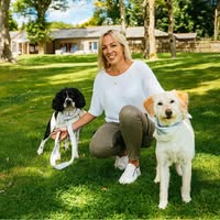 Eclipped Dog Grooming