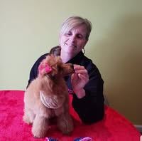 Posh Pet Groomer