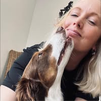 Jennifurrs Dog Grooming