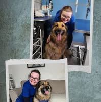 Scruffies 2 Fluffies Dog Grooming