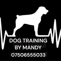 In The Dog House Dog Grooming Lincoln