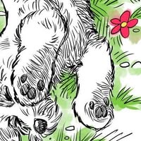 Boo Bear Grooming Boutique