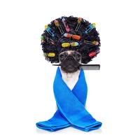 DogGoSpa Dog & Cat Grooming
