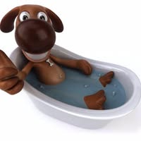 Muddy-Mutts dog grooming