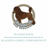 Whitewash Dog Grooming