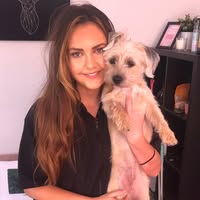 Pooch and Paw Dog Grooming