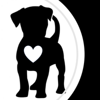 The Dog Spot