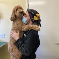Ruffs Hydrotherapy & Grooming Centre