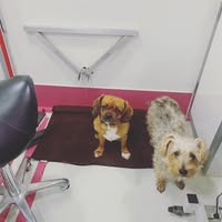 Poochbathtimes