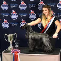 Vanity Furr Dog Grooming