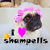 Shampell's Dog Grooming