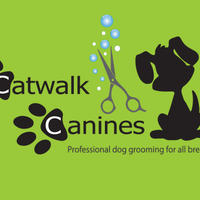 Catwalk Canines Dog Grooming Yeovil