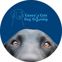 Casey's Cuts Dog Grooming