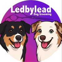 LedByLead Dog Grooming Horsforth