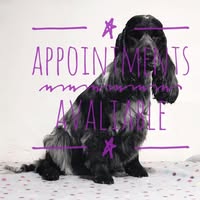 Bramble Cottage Dog Grooming
