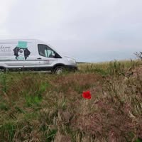 Handsome Hounds Mobile Dog Grooming