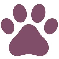 Mutts Animal Beauty Centre