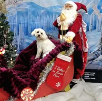 Vanity Fur Dog Grooming Limited
