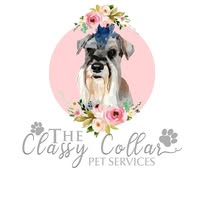 The Classy Collar