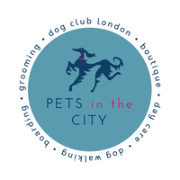 Pets in the City