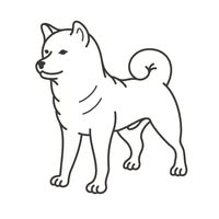 Big City Dog