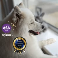 Dogzbody Spa