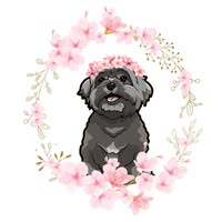Blossom's Grooming Parlour