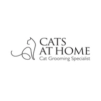Cats At Home Grooming Salon Norwich