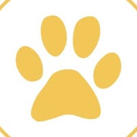 Amigos Dog Grooming