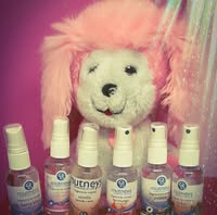 Pampered poochies dog and cat grooming studio