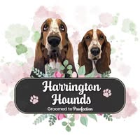 Harrington Hounds