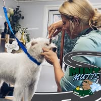 Eden Pawject