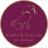 Curls & Collars Dog Grooming