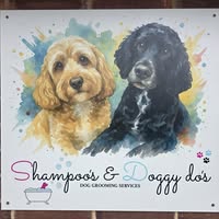 Shampoo’s & Doggy Do’s