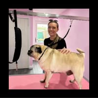 Helen's Houndz Grooming Salon
