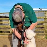 Gerrard mobile dog Grooming and kennels