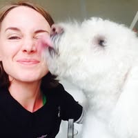 The Dog Groomer Uppingham