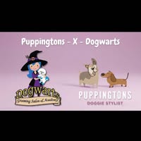 Dogwarts Grooming Salon & Academy