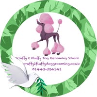 Scruffy 2 Fluffy Dog Grooming School