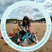Bones Ultrasound & Grooming Ltd