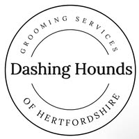 Dashing hounds of Hertfordshire
