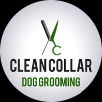 Clean Collar Dog Grooming