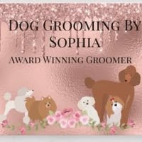 Dog Grooming By Sophia