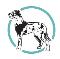 Dapper Dogs Oswestry