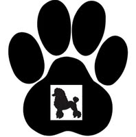 Blueberrys Dog Grooming & Spa