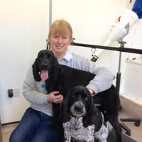 Best Friends Dog Grooming