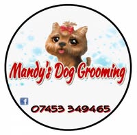 Mandy Chang Dog Grooming