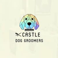 Castle Dog Groomers - Dog Grooming