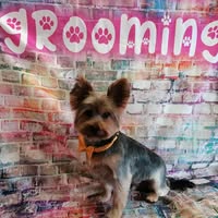Countryside Pet Grooming