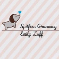 Spitfire Dog Grooming